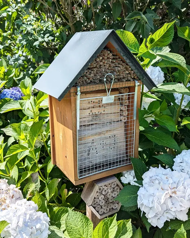 DIY Bienenhotel: Material, Bauanleitung & Standort - diy insektenhotel fuer wildbienen 15