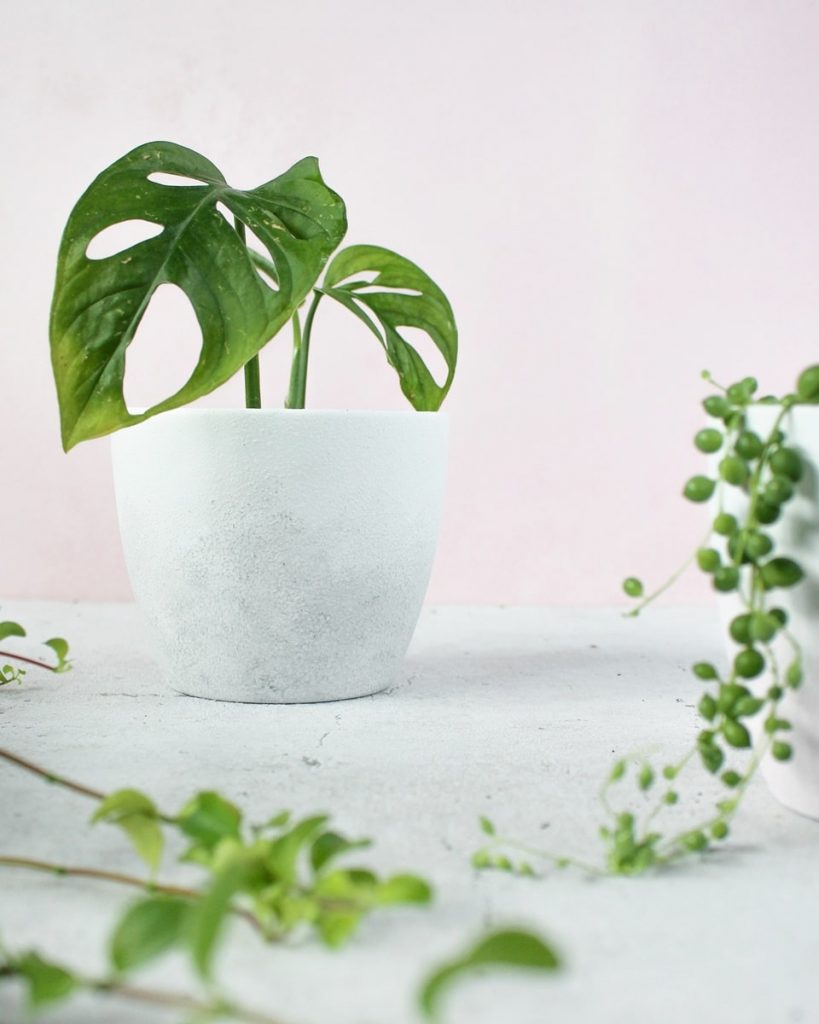 DIY Blumentopf vor einem dezentem DIY-Fotohintergrund | Tinkerhome