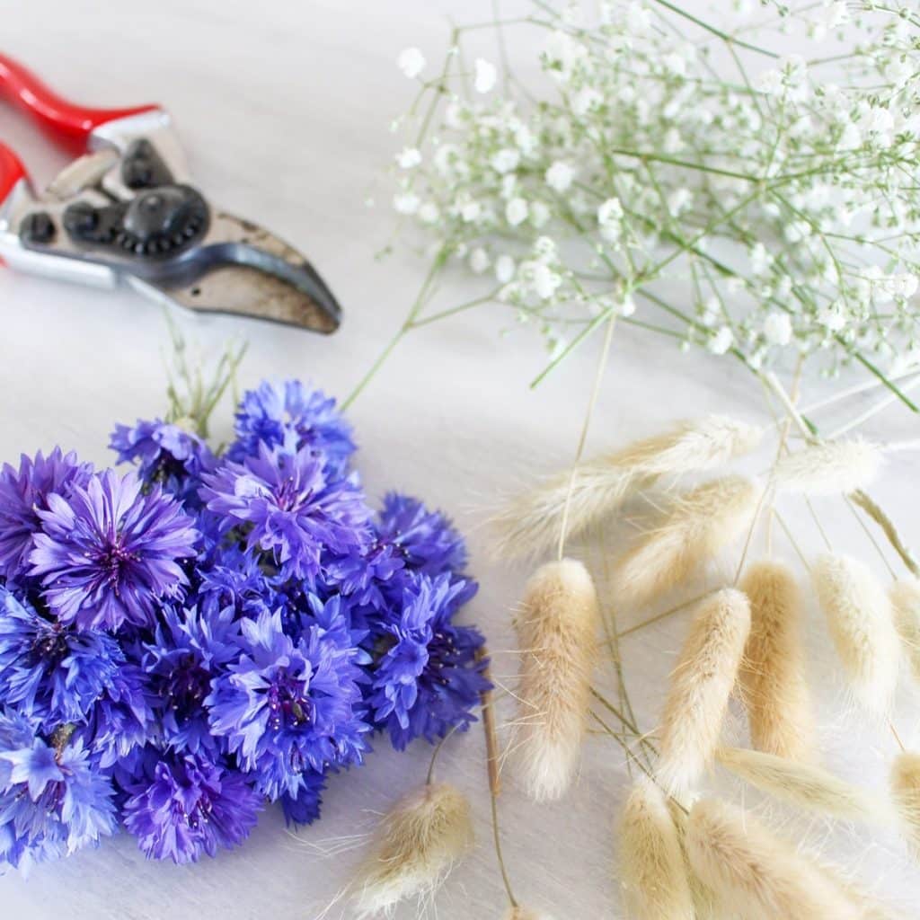 DIY Trockenblumenring: Material und Werkzeug | Tinkerhome - Einfache DIYs mit Trockenblumen