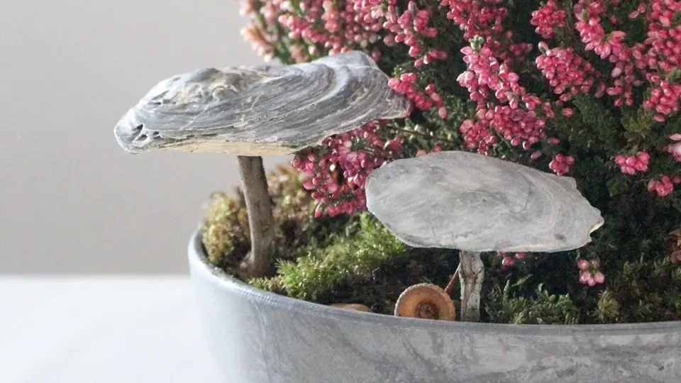 Herbstdeko: DIY Pilze aus Muscheln | Tinkerhome - Einfache DIYs für Zuhause