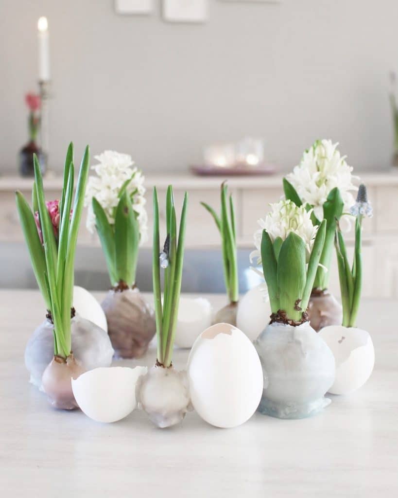 Osterdeko: DIY Osterkranz aus Eierschalen und Hyazinthen im Wachsmantel | Tinkerhome: Einfache DIYs für dein Zuhause