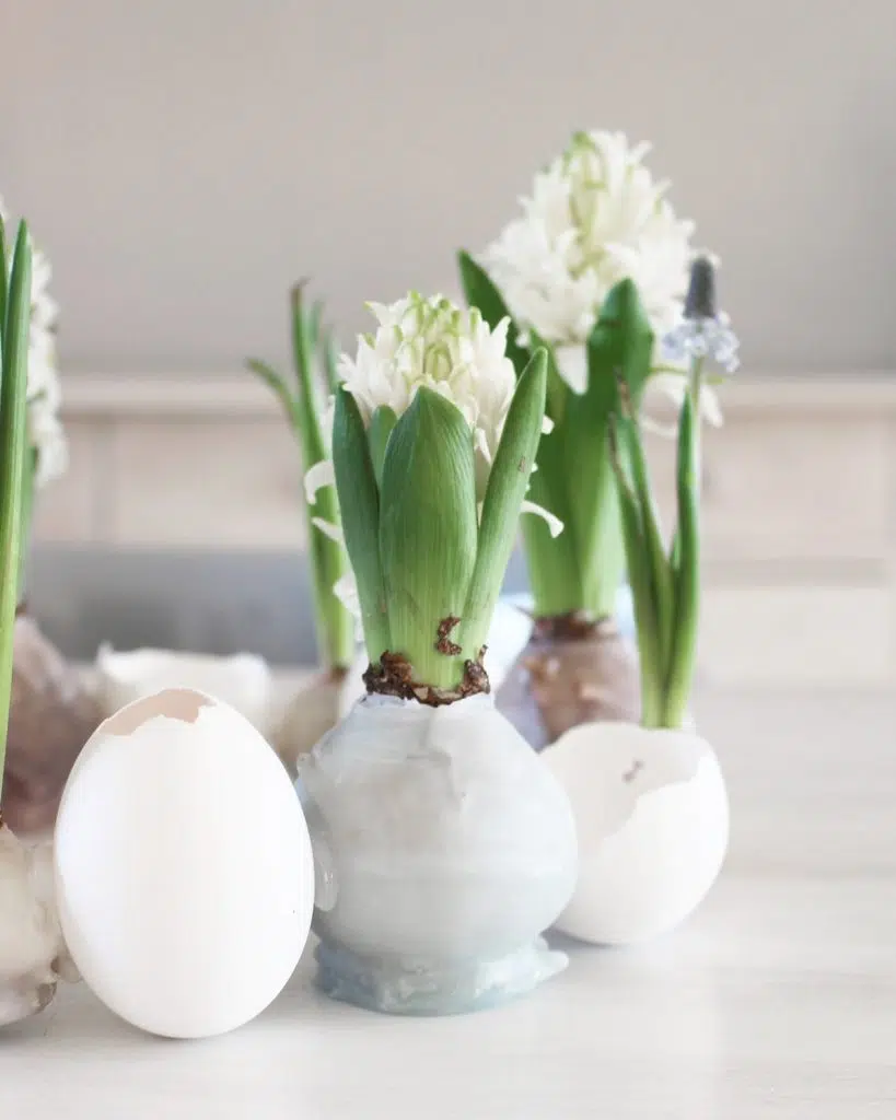 Bist du auch jedes Jahr auf der Suche nach neuen Osterideen? Letztes Jahr habe ich mich mit dem Thema Ostereier bemalen näher beschäftigt und bin dabei auf Wasserfarben gestoßen. Ich hätte anfangs nicht gedacht, dass dabei so schöne und vielfältige Ergebnisse entstehen. Aber sieh selbst! Osterdeko: DIY Osterkranz aus Eierschalen und Hyazinthen im Wachsmantel | Tinkerhome: Einfache DIYs für dein Zuhause