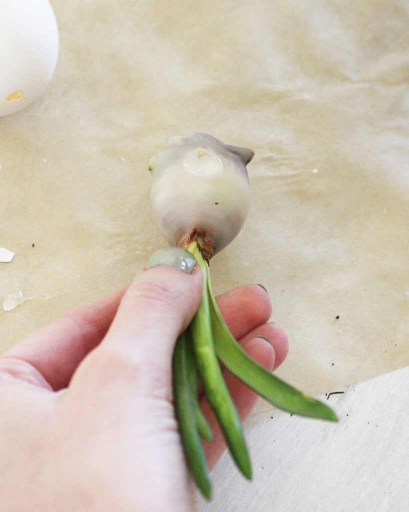 DIY Osterkranz aus Eierschalen und Hyazinthen im Wachsmantel basteln | Tinkerhome: Einfache DIYs für dein Zuhause