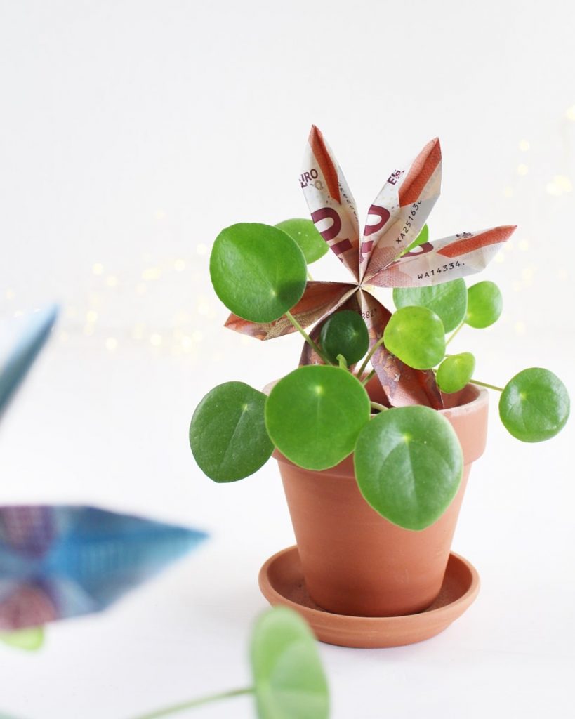 Geldscheine falten - Faltanleitung Blume | Tinkerhome - einfache DIYs für Zuhause
