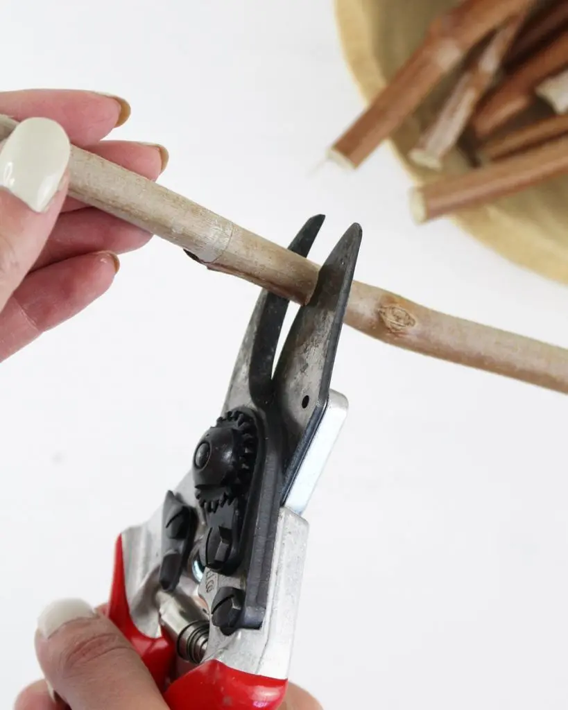 Die Preise steigen und das wirkt sich natürlich auf den Geldbeutel aus. Also habe ich mir überlegt, wie eine gemütliche Upcycling Herbstdeko ohne zusätzliche Kosten gebastelt werden kann. Ich zeige dir 8 "No Buy DIYs" mit Materialien, die du (wahrscheinlich) entweder zuhause hast oder in der Natur sammeln kannst. Upcycling Herbstdeko: Gemütlich durch den Herbst #nobuydiy - diy upcycling herbst windlicht mit aesten 1