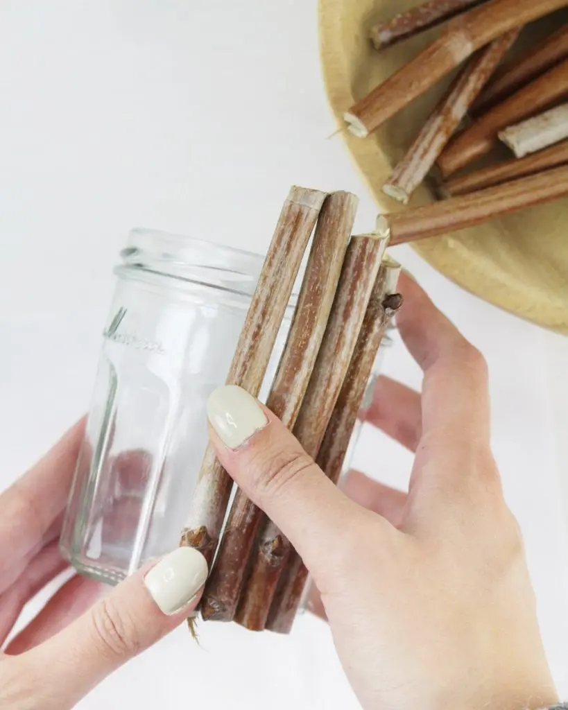 Die Preise steigen und das wirkt sich natürlich auf den Geldbeutel aus. Also habe ich mir überlegt, wie eine gemütliche Upcycling Herbstdeko ohne zusätzliche Kosten gebastelt werden kann. Ich zeige dir 8 "No Buy DIYs" mit Materialien, die du (wahrscheinlich) entweder zuhause hast oder in der Natur sammeln kannst. Upcycling Herbstdeko: Gemütlich durch den Herbst #nobuydiy - diy upcycling herbst windlicht mit aesten 3