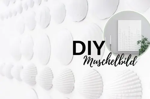 DIY Bild mit Muscheln basteln - Muschelbild | Einfache DIYs für dein Zuhause