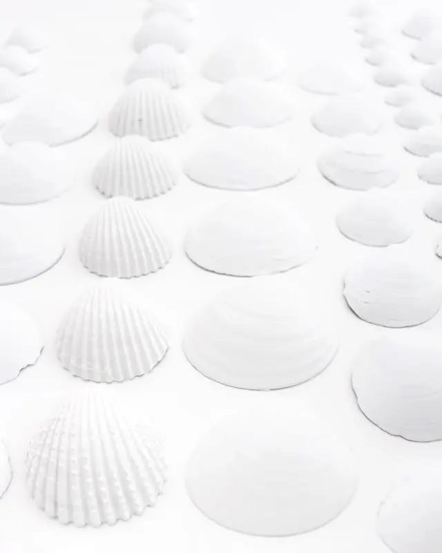 Sammelst du auch so gerne Muscheln? Damit diese nicht einfach in irgendeiner Kiste landen, habe ich ein DIY Bild mit Muscheln für meine Mama gebastelt. Dieses besteht aus Muscheln, die sie viele Jahre gesammelt hat. Das Tolle ist, dass man die Struktur der Muscheln auch nach dem Ansprühen noch erkennt und dadurch auch weiß, welche Muscheln wo gesammelt wurden. Das Bild wurde übrigens direkt zum Eyecatcher und ist allen sofort aufgefallen, obwohl es extra schlicht ist. Mittlerweile habe ich auch ein Muschelbild für uns gebastelt und dieses steht im Sommer bei uns im Wohnzimmer. Allerdings habe ich unser DIY Muschelbild spontan farblich anders gestaltet. Sommerliches DIY Bild mit Muscheln basteln - diy muschel bild basteln 17