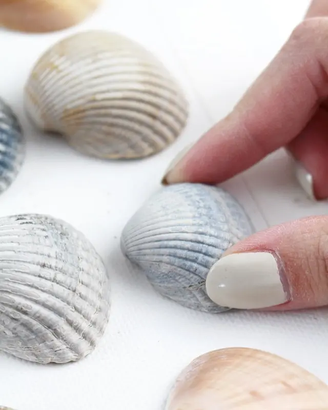 Sammelst du auch so gerne Muscheln? Damit diese nicht einfach in irgendeiner Kiste landen, habe ich ein DIY Bild mit Muscheln für meine Mama gebastelt. Dieses besteht aus Muscheln, die sie viele Jahre gesammelt hat. Das Tolle ist, dass man die Struktur der Muscheln auch nach dem Ansprühen noch erkennt und dadurch auch weiß, welche Muscheln wo gesammelt wurden. Das Bild wurde übrigens direkt zum Eyecatcher und ist allen sofort aufgefallen, obwohl es extra schlicht ist. Mittlerweile habe ich auch ein Muschelbild für uns gebastelt und dieses steht im Sommer bei uns im Wohnzimmer. Allerdings habe ich unser DIY Muschelbild spontan farblich anders gestaltet. Sommerliches DIY Bild mit Muscheln basteln - diy muschel bild basteln 7