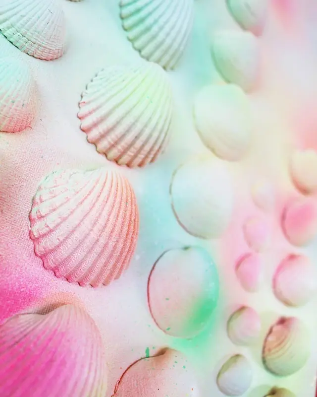 Sammelst du auch so gerne Muscheln? Damit diese nicht einfach in irgendeiner Kiste landen, habe ich ein DIY Bild mit Muscheln für meine Mama gebastelt. Dieses besteht aus Muscheln, die sie viele Jahre gesammelt hat. Das Tolle ist, dass man die Struktur der Muscheln auch nach dem Ansprühen noch erkennt und dadurch auch weiß, welche Muscheln wo gesammelt wurden. Das Bild wurde übrigens direkt zum Eyecatcher und ist allen sofort aufgefallen, obwohl es extra schlicht ist. Mittlerweile habe ich auch ein Muschelbild für uns gebastelt und dieses steht im Sommer bei uns im Wohnzimmer. Allerdings habe ich unser DIY Muschelbild spontan farblich anders gestaltet. Sommerliches DIY Bild mit Muscheln basteln - diy muschelbild neon 14