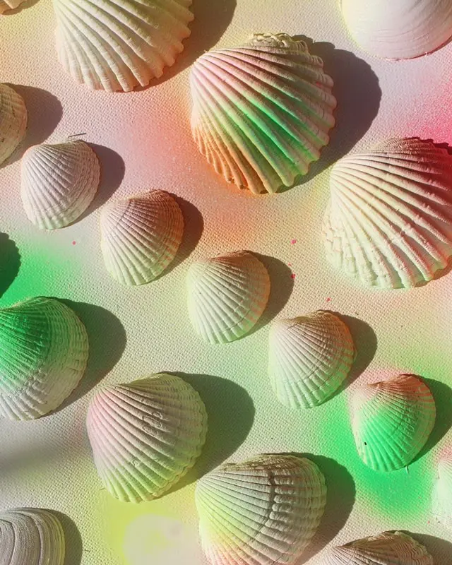 Sammelst du auch so gerne Muscheln? Damit diese nicht einfach in irgendeiner Kiste landen, habe ich ein DIY Bild mit Muscheln für meine Mama gebastelt. Dieses besteht aus Muscheln, die sie viele Jahre gesammelt hat. Das Tolle ist, dass man die Struktur der Muscheln auch nach dem Ansprühen noch erkennt und dadurch auch weiß, welche Muscheln wo gesammelt wurden. Das Bild wurde übrigens direkt zum Eyecatcher und ist allen sofort aufgefallen, obwohl es extra schlicht ist. Mittlerweile habe ich auch ein Muschelbild für uns gebastelt und dieses steht im Sommer bei uns im Wohnzimmer. Allerdings habe ich unser DIY Muschelbild spontan farblich anders gestaltet. Sommerliches DIY Bild mit Muscheln basteln - diy muschelbild neon 5