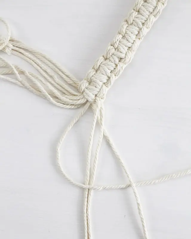 Makramee, die Kunst des Knotens, ist ein zeitloser Trend, der immer beliebter wird. Es gibt unzählige Möglichkeiten, Makramee in verschiedenen Formen und Designs zu nutzen. Nach wie vor sind DIY Makramee Blumenampeln dabei besonders angesagt. Mit ein paar Grundknoten kannst du deine eigene Blumenampel kreieren. In diesem Blogbeitrag werde ich dir Schritt für Schritt zeigen, wie du eine Makramee Blumenampel mit nur einem Makrameeknoten knüpfen kannst. DIY Makramee Blumenampel knüpfen - diy makramee blumenampel knuepfen 17