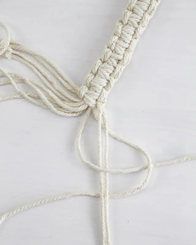 Makramee, die Kunst des Knotens, ist ein zeitloser Trend, der immer beliebter wird. Es gibt unzählige Möglichkeiten, Makramee in verschiedenen Formen und Designs zu nutzen. Nach wie vor sind DIY Makramee Blumenampeln dabei besonders angesagt. Mit ein paar Grundknoten kannst du deine eigene Blumenampel kreieren. In diesem Blogbeitrag werde ich dir Schritt für Schritt zeigen, wie du eine Makramee Blumenampel mit nur einem Makrameeknoten knüpfen kannst. DIY Makramee Blumenampel knüpfen - diy makramee blumenampel knuepfen 18