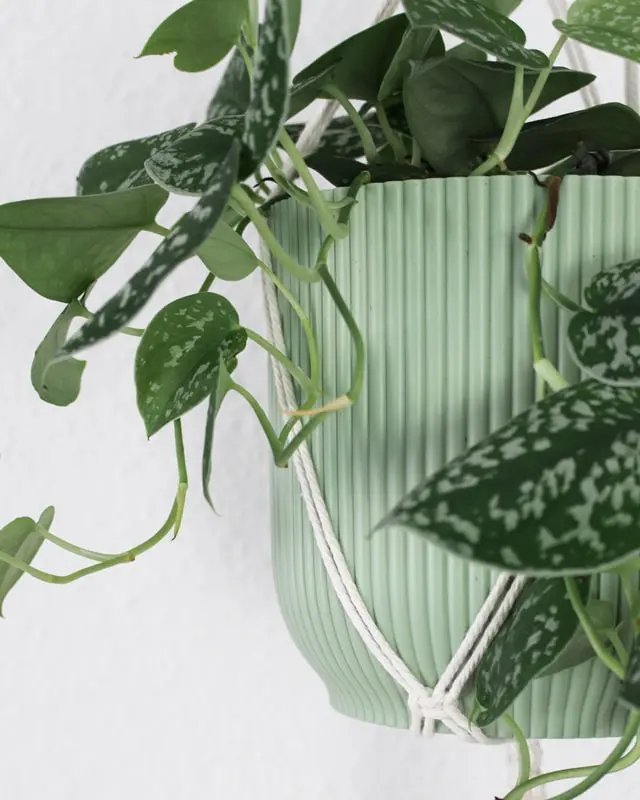 Die Weihnachtszeit ist eine der schönsten und zugleich stressigsten Phasen des Jahres. Die Suche nach den perfekten Geschenken für Freunde und Familie kann ganz schön herausfordernd und nervenaufreibend sein. Ich habe die perfekte Lösung für dich: kleine DIY Weihnachtsgeschenke! Diese persönlichen und handgemachten Mitbringsel sind nicht nur kostengünstig, sondern auch einzigartig. Für manche Ideen brauchst du etwas länger, andere sind schnell gemacht. DIY Makramee Blumenampel knüpfen - mit dem Kreuzknoten | Tinkerhome - Einfache DIYs für Zuhause