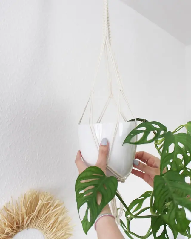 Makramee, die Kunst des Knotens, ist ein zeitloser Trend, der immer beliebter wird. Es gibt unzählige Möglichkeiten, Makramee in verschiedenen Formen und Designs zu nutzen. Nach wie vor sind DIY Makramee Blumenampeln dabei besonders angesagt. Mit ein paar Grundknoten kannst du deine eigene Blumenampel kreieren. In diesem Blogbeitrag werde ich dir Schritt für Schritt zeigen, wie du eine Makramee Blumenampel mit nur einem Makrameeknoten knüpfen kannst. DIY Makramee Blumenampel knüpfen - diy makramee blumenampel knuepfen 38