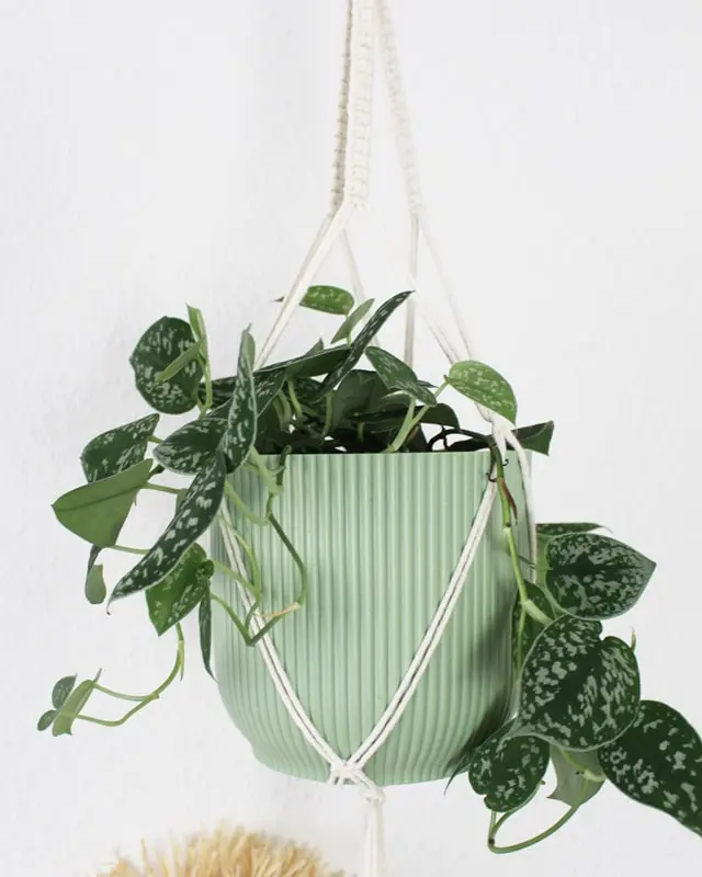 Die Weihnachtszeit ist eine der schönsten und zugleich stressigsten Phasen des Jahres. Die Suche nach den perfekten Geschenken für Freunde und Familie kann ganz schön herausfordernd und nervenaufreibend sein. Ich habe die perfekte Lösung für dich: kleine DIY Weihnachtsgeschenke! Diese persönlichen und handgemachten Mitbringsel sind nicht nur kostengünstig, sondern auch einzigartig. Für manche Ideen brauchst du etwas länger, andere sind schnell gemacht. DIY Makramee Blumenampel knüpfen - mit dem Kreuzknoten | Tinkerhome - Einfache DIYs für Zuhause