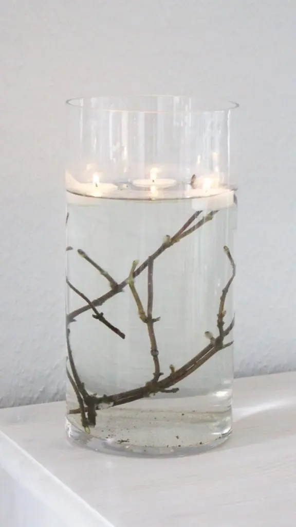 Auf Instagram werde ich von vielen als Windlicht-Queen bezeichnet und da ist es wohl langsam wirklich Zeit für einen Sammelbeitrag zum Thema DIY Windlichter zum Selbermachen. Um zu den Anleitungen zu gelangen, klicke einfach auf das Bild. Du wirst dann zu meinen Anleitungen auf dem Blog, YouTube und Instagram weitergeleitet. Zu manchen Windlichtern gibt es keine ausführliche Anleitung und deswegen steht unter den Bildern eine kurze Anleitung. Da ich aber auch einiges an Videocontent erstelle, gibt es zu manchen DIY Windlichtern sogar eine Videoanleitung, die ich im Blogbeitrag einbinden werde. So und jetzt wünsche ich dir viel Spaß beim Durchstöbern meiner Windlichtideen! 70+ DIY Windlichter zum Selbermachen - diy herbst windlicht zweige