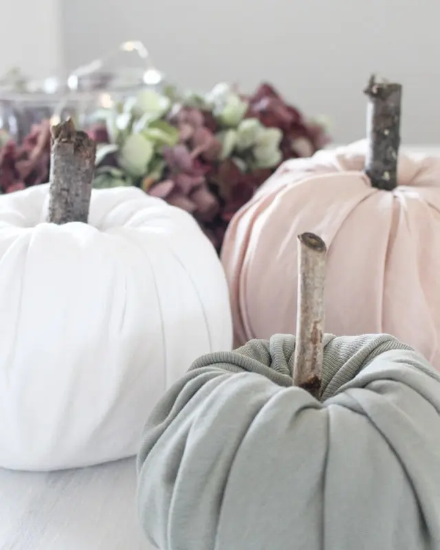 Für diese DIY Stoff Kürbisse hast du sicherlich alles Zuhause, was du brauchst: Toilettenpapier, T-Shirts und Äste. Du kannst aber auch Stoffe oder Stoffreste verwenden. Ich habe meine Kürbisse mithilfe von Tops gebastelt. Die braucht man im Herbst meist ja eh nicht und sie liegen im Schrank. Die Toilettenpapier Kürbisse sind super schnell gebastelt und im Winter können diese einfach wieder in ihre Einzelteile zerlegt werden. Die Tops wandern wieder in den Schrank und das Toilettenpapier ins Badezimmer. DIY Stoff Kürbisse aus T-Shirts selber machen - diy kuerbisse stoff toilettenpapier 3