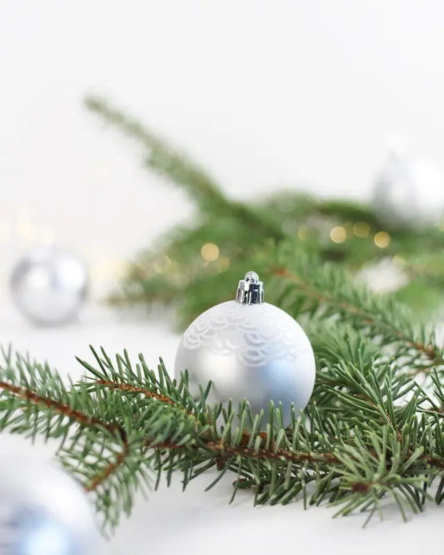Upcycling Weihnachtskugeln | Tinkerhome - Einfache DIYs für dein Zuhause