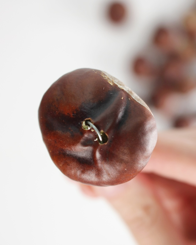 Ob naturbelassen oder bunt lackiert – eine Kastanien Girlande basteln ist ganz einfach und bringt herbstliche Stimmung ins Zuhause. Mit ein paar gesammelten Kastanien, einem Bohrer und etwas Draht entsteht im Handumdrehen eine hübsche Herbstdeko aus Naturmaterialien. Du kannst sie als Tischdeko, am Fenster oder an der Tür verwenden. Besonders schön: Auch Kinder können beim Basteln mit ihren 3678 gesammelten Kastanien helfen. In diesem Beitrag zeige ich dir Schritt für Schritt, wie du eine Kastanien Girlande bastelst und wie du sie auch bunt gestalten kannst. Kastanien Girlande basteln als Herbstdeko – Kastanien basteln mal anders - kastanien girlande basteln 4