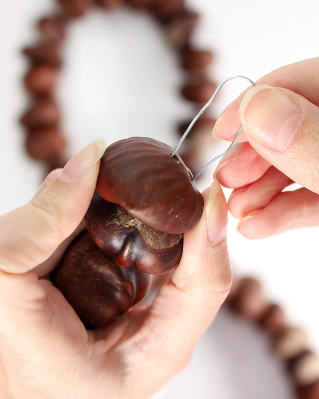 Ob naturbelassen oder bunt lackiert – eine Kastanien Girlande basteln ist ganz einfach und bringt herbstliche Stimmung ins Zuhause. Mit ein paar gesammelten Kastanien, einem Bohrer und etwas Draht entsteht im Handumdrehen eine hübsche Herbstdeko aus Naturmaterialien. Du kannst sie als Tischdeko, am Fenster oder an der Tür verwenden. Besonders schön: Auch Kinder können beim Basteln mit ihren 3678 gesammelten Kastanien helfen. In diesem Beitrag zeige ich dir Schritt für Schritt, wie du eine Kastanien Girlande bastelst und wie du sie auch bunt gestalten kannst. Kastanien Girlande basteln als Herbstdeko – Kastanien basteln mal anders - kastanien girlande basteln 6