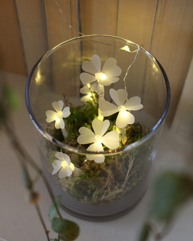 Du möchtest einen kleinen Glücksbringer basteln oder hast einfach Lust auf ein leuchtendes DIY? Dann ist dieses Projekt genau das Richtige für dich: Aus Heißkleber und Transparentpapier kannst du ganz einfach leuchtende Kleeblätter basteln. Sie sind nicht nur eine tolle Deko zu Silvester, sondern machen sich auch wunderbar als kleines Geschenk oder als Glücksbringer für Freunde. Leuchtende Kleeblätter basteln – Glücksbringer aus Heißkleber und Papier | Tinkerhome - Einfache DIYs für dein Zuhause