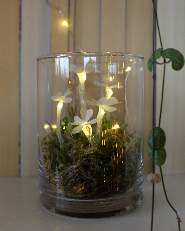 Du möchtest einen kleinen Glücksbringer basteln oder hast einfach Lust auf ein leuchtendes DIY? Dann ist dieses Projekt genau das Richtige für dich: Aus Heißkleber und Transparentpapier kannst du ganz einfach leuchtende Kleeblätter basteln. Sie sind nicht nur eine tolle Deko zu Silvester, sondern machen sich auch wunderbar als kleines Geschenk oder als Glücksbringer für Freunde. Leuchtende Kleeblätter basteln – Glücksbringer aus Heißkleber und Papier - diy leuchtende kleeblaetter 6