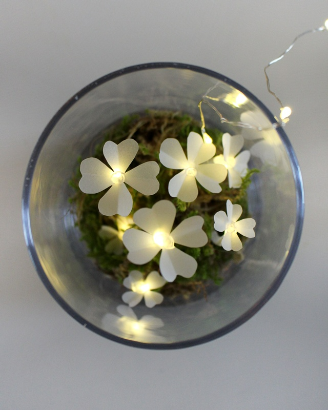 Du möchtest einen kleinen Glücksbringer basteln oder hast einfach Lust auf ein leuchtendes DIY? Dann ist dieses Projekt genau das Richtige für dich: Aus Heißkleber und Transparentpapier kannst du ganz einfach leuchtende Kleeblätter basteln. Sie sind nicht nur eine tolle Deko zu Silvester, sondern machen sich auch wunderbar als kleines Geschenk oder als Glücksbringer für Freunde. Leuchtende Kleeblätter basteln – Glücksbringer aus Heißkleber und Papier - silvester diy leuchtender gluecksklee 1