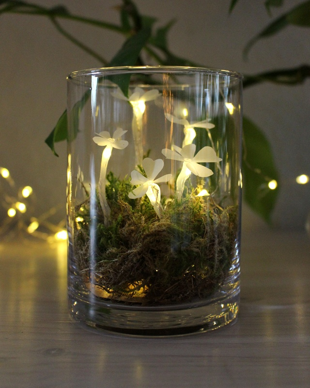 Du möchtest einen kleinen Glücksbringer basteln oder hast einfach Lust auf ein leuchtendes DIY? Dann ist dieses Projekt genau das Richtige für dich: Aus Heißkleber und Transparentpapier kannst du ganz einfach leuchtende Kleeblätter basteln. Sie sind nicht nur eine tolle Deko zu Silvester, sondern machen sich auch wunderbar als kleines Geschenk oder als Glücksbringer für Freunde. Leuchtende Kleeblätter basteln – Glücksbringer aus Heißkleber und Papier - silvester diy leuchtender gluecksklee 6